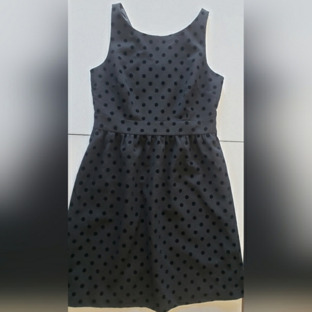 Black Polka Dot Loft Dress Sz 8 NWT